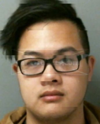 Andrew Nguyen Trinh