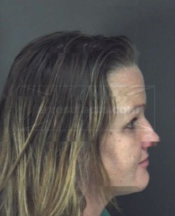 Melanie Ann Rollins