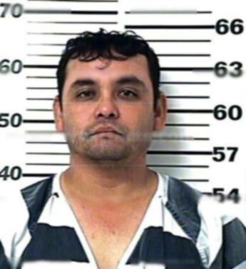 David J Nunez