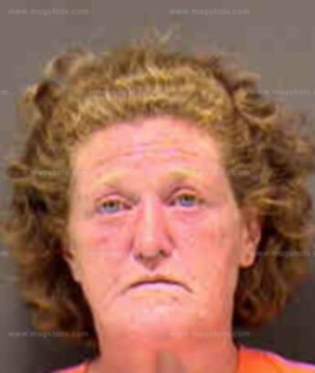 Dorothy Ann Meehan