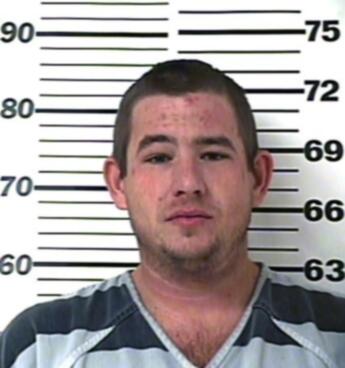 Steven David Rollins