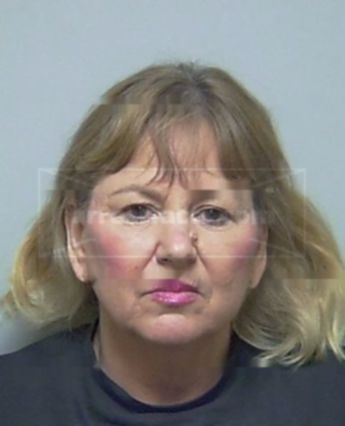 Vicki Lynn Langer