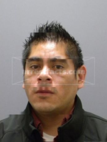 Armando Hernandez-Dominguez