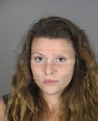 Nikki Ann Wendell