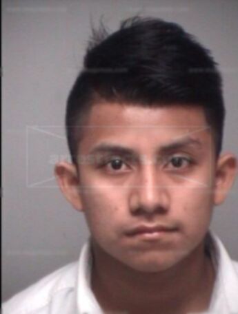 Sebastian Guzman Lopez