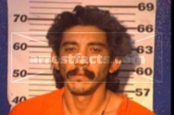 Flavio Mendiola Salinas