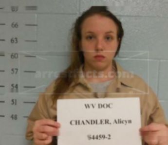Alicyn Lee Chandler