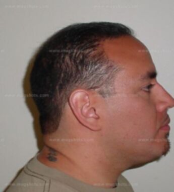 Gustavo G Navarro