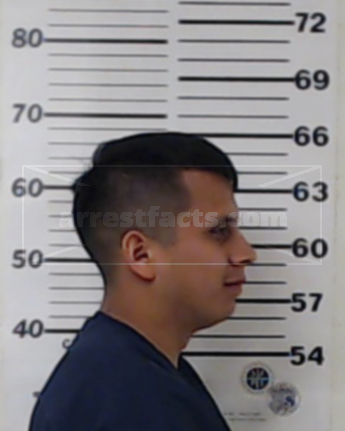 Ulysses Alejandro Castaneda