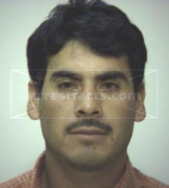 Daniel Majia Hernandez