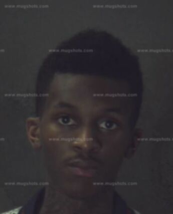 Justin Maxwell Elkins