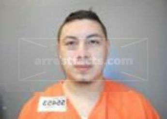 David Flores-Martinez