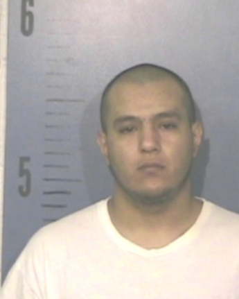 Gabriel Lee Flores