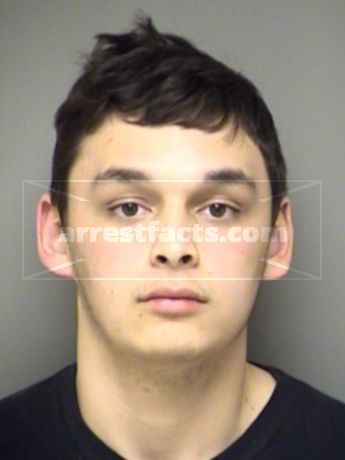Forest Alexander Tolle