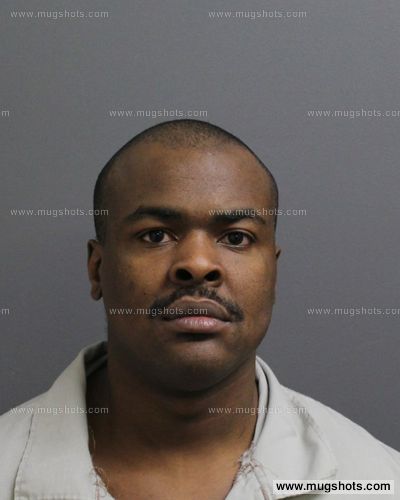 Stephen Anthony Reed