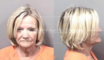 Vicki Ann Brown