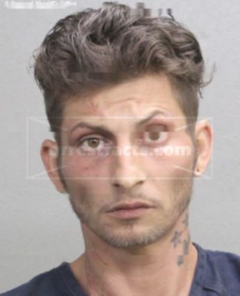 Dominick S Evans