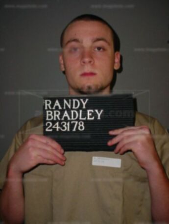Randy L Bradley