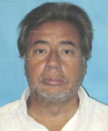 Ramon J Campo