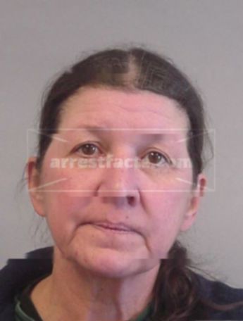 Julie A Freed