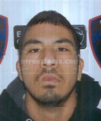 Eli Roy Bernal