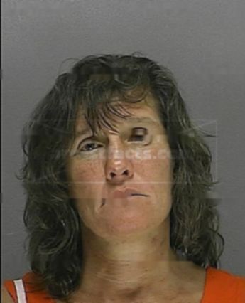 Jill Denise Brick