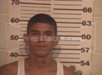 Daniel Guzman Rangel