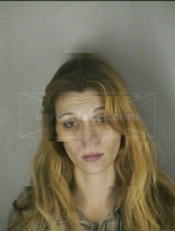 Kristy L Ellis