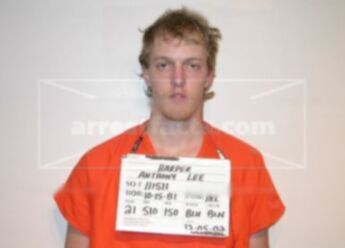 Anthony Lee Harper