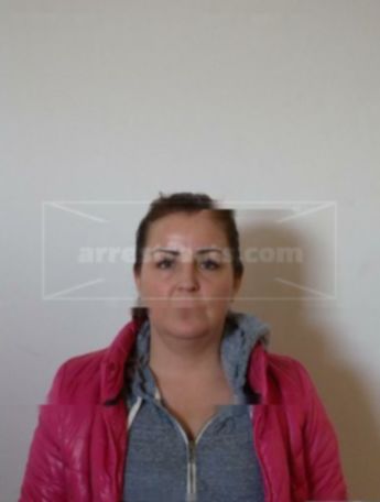 Wendy L Dryer