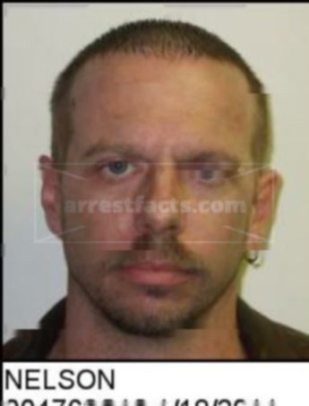 Brian Scott Nelson