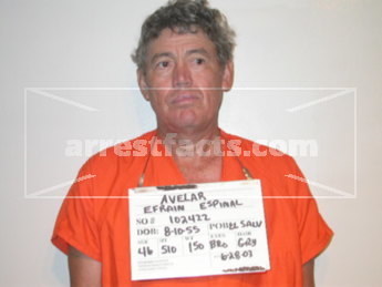 Efrain Espinal Avelar