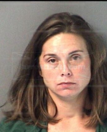 Brandy Renee Ellis