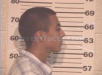 Raul Marques Zuniga