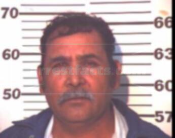 Alfredo Ortega Rosas