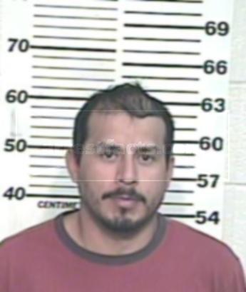 Mario Alvarez Flores