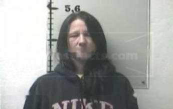 Susan Ann Blevins