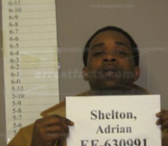 Adrian Shelton