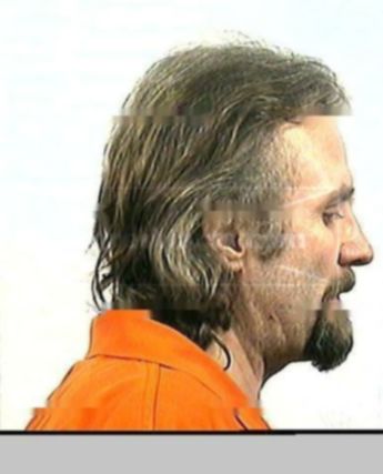 Michael G Lemley