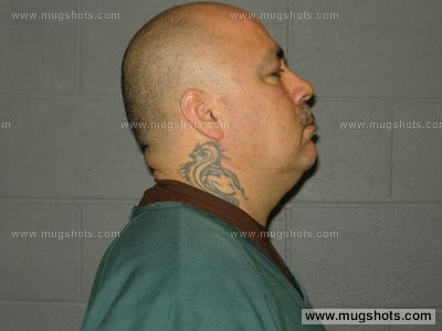 Darwin J Olson