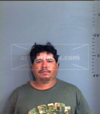 Guadalupe Sepulveda Alejandro