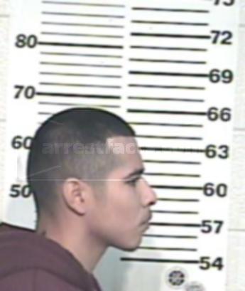 David Alejandro Flores Acosta