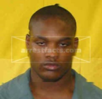 Michael J Whitted