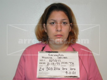 Monica Lizza Salinas Cervantes