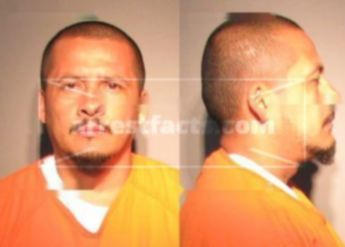 Elmer Mejia-Hernandez