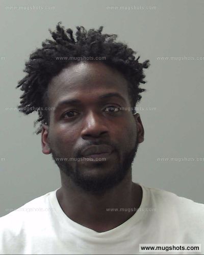 Jeremy Raemon Bush