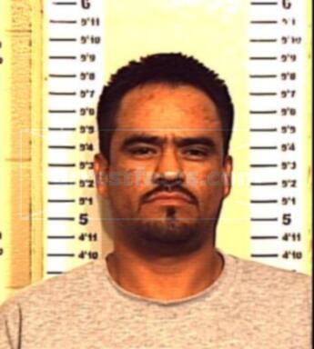 Gerardo Ramos Carrizales