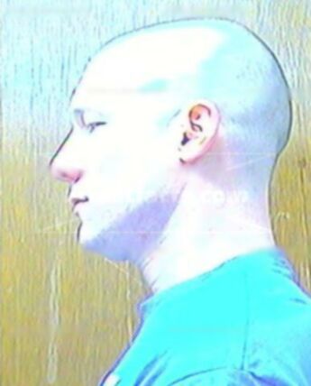 Adam D Stephens