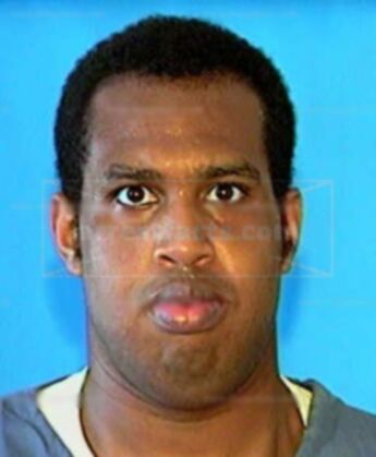 Damian T Mincey