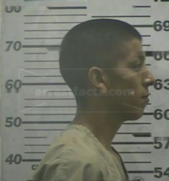 Hugo J Lopez